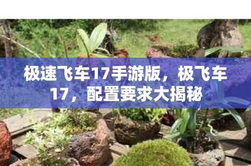 极速飞车17手游版，极飞车17，配置要求大揭秘