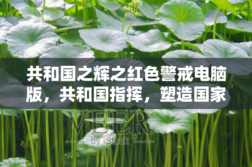共和国之辉之红色警戒电脑版,共和国指挥,塑造国家未来的音乐力量 共和国之辉之红色警戒电脑版,共和国指挥,塑造国家未来的音乐力量