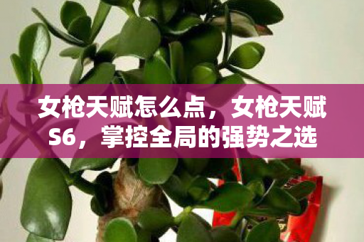女枪天赋怎么点，女枪天赋S6，掌控全局的强势之选