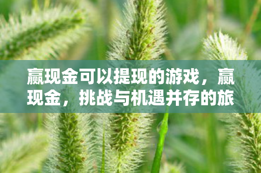 赢现金可以提现的游戏，赢现金，挑战与机遇并存的旅程