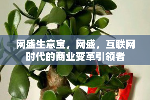 网盛生意宝，网盛，互联网时代的商业变革引领者