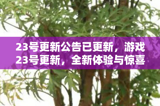 23号更新公告已更新，游戏23号更新，全新体验与惊喜等你来发现