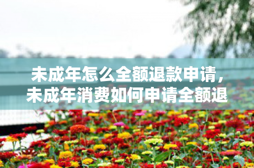 未成年怎么全额退款申请，未成年消费如何申请全额退款？