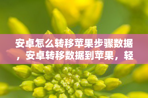 安卓怎么转移苹果步骤数据,安卓转移数据到苹果,轻松实现无缝切换 安卓怎么转移苹果步骤数据,安卓转移数据到苹果,轻松实现无缝切换