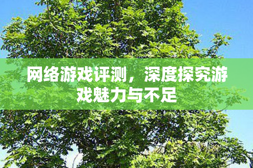 网络游戏评测，深度探究游戏魅力与不足