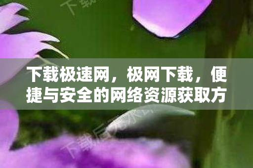 下载极速网,极网下载,便捷与安全的网络资源获取方式 下载极速网,极网下载,便捷与安全的网络资源获取方式