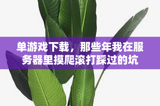 那些年我在服务器里摸爬滚打踩过的坑图片