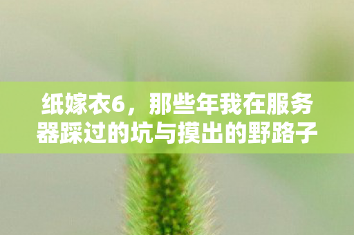 纸嫁衣6,那些年我在服务器踩过的坑与摸出的野路子 纸嫁衣6,那些年我在服务器踩过的坑与摸出的野路子