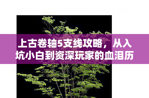 从入坑小白到资深玩家的血泪历程图片