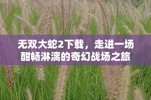 无双大蛇2下载,走进一场酣畅淋漓的奇幻战场之旅 无双大蛇2下载,走进一场酣畅淋漓的奇幻战场之旅
