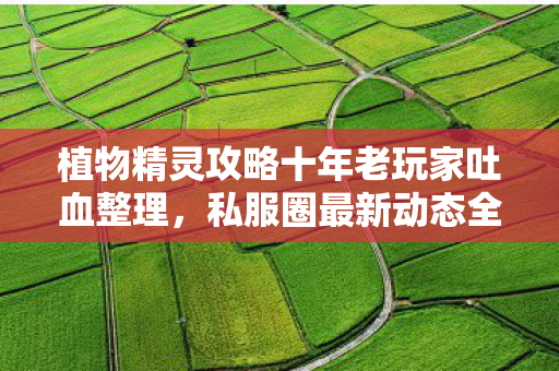 植物精灵攻略十年老玩家吐血整理图片