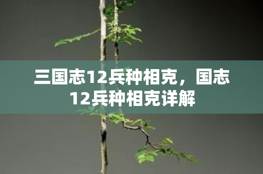 三国志12兵种相克，国志12兵种相克详解