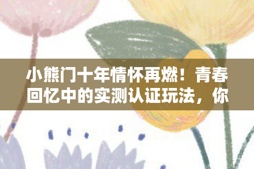 小熊门十年情怀再燃!青春回忆中的实测认证玩法,你知道吗? 小熊门十年情怀再燃!青春回忆中的实测认证玩法,你知道吗?