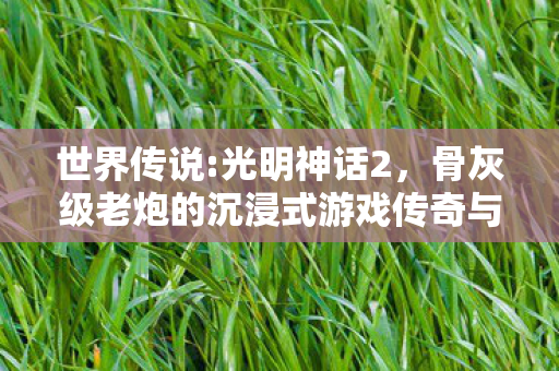 骨灰级老炮的沉浸式游戏传奇与忠告图片