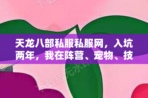 天龙八部私服私服网图片
