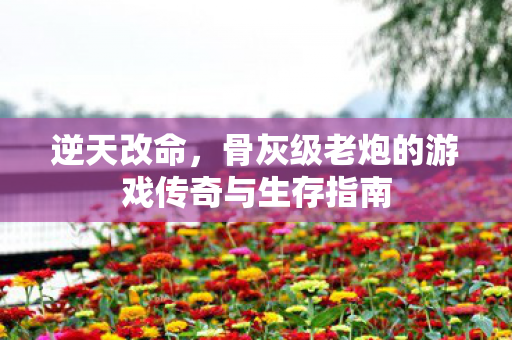 逆天改命,骨灰级老炮的游戏传奇与生存指南 逆天改命,骨灰级老炮的游戏传奇与生存指南