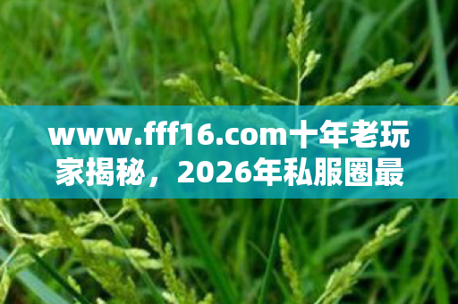 2026年私服圈最新玩法与避坑指南图片