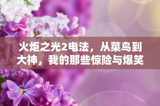 我的那些惊险与爆笑游戏历程图片