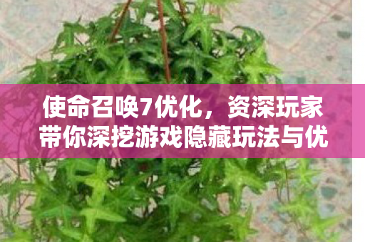 资深玩家带你深挖游戏隐藏玩法与优化秘诀图片