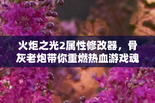骨灰老炮带你重燃热血游戏魂图片