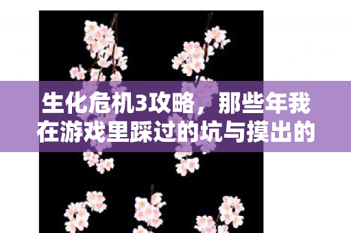 那些年我在游戏里踩过的坑与摸出的野路子图片