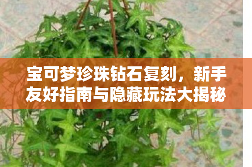 新手友好指南与隐藏玩法大揭秘图片