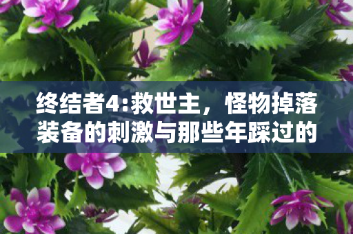 怪物掉落装备的刺激与那些年踩过的坑图片
