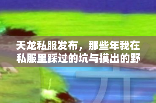 那些年我在私服里踩过的坑与摸出的野路子图片