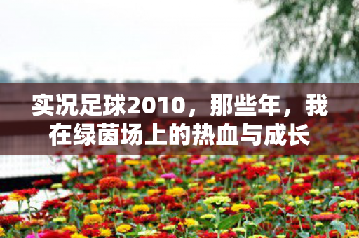 我在绿茵场上的热血与成长图片