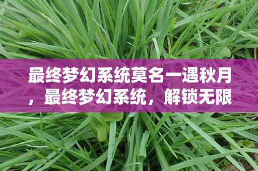 最终梦幻系统莫名一遇秋月,最终梦幻系统,解锁无限可能的虚拟世界 最终梦幻系统莫名一遇秋月,最终梦幻系统,解锁无限可能的虚拟世界