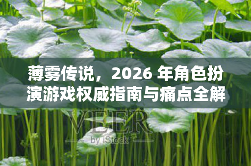 2026 年角色扮演游戏权威指南与痛点全解图片
