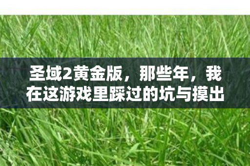 我在这游戏里踩过的坑与摸出的野路子图片