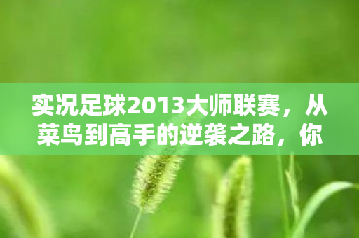 实况足球2013大师联赛图片