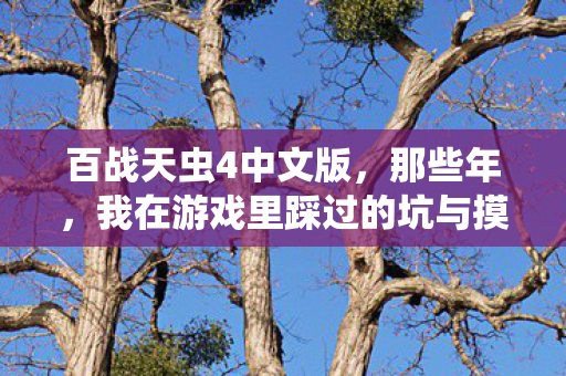 我在游戏里踩过的坑与摸出的野路子图片