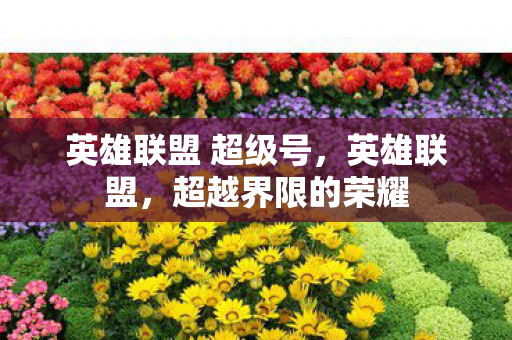 英雄联盟 超级号，英雄联盟，超越界限的荣耀