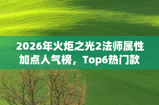 2026年火炬之光2法师属性加点人气榜图片