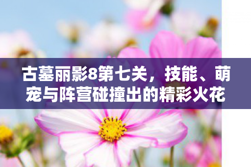 萌宠与阵营碰撞出的精彩火花图片