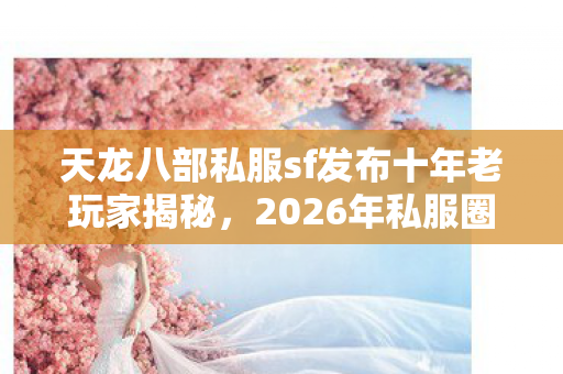 天龙八部私服sf发布十年老玩家揭秘图片