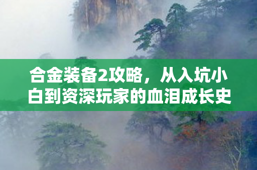 从入坑小白到资深玩家的血泪成长史图片