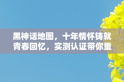 实测认证带你重温热血时光图片