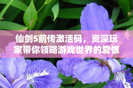 资深玩家带你领略游戏世界的爱恨情仇图片
