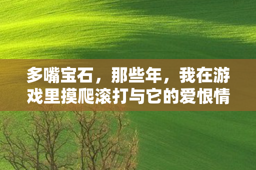 我在游戏里摸爬滚打与它的爱恨情仇图片
