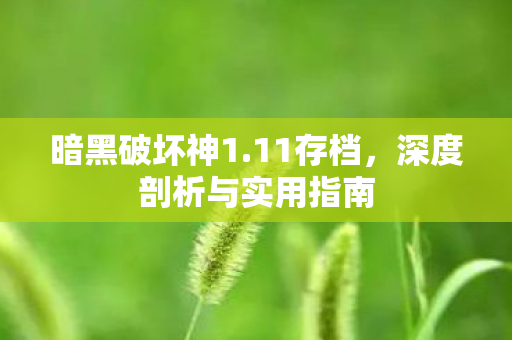深度剖析与实用指南图片