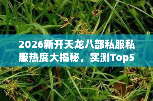 2026新开天龙八部私服私服热度大揭秘,实测Top5高人气服,新手避坑指南! 2026新开天龙八部私服私服热度大揭秘,实测Top5高人气服,新手避坑指南!