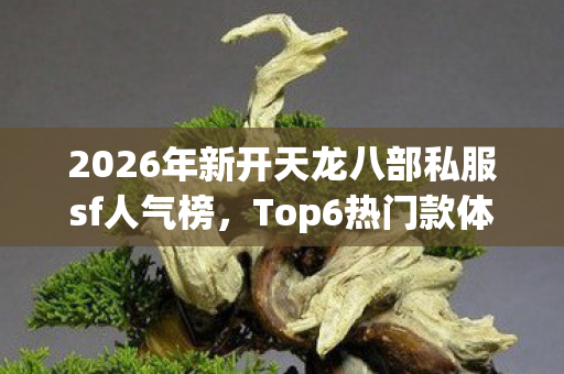 2026年新开天龙八部私服sf人气榜,Top6热门款体验,躲开95%入门陷阱 2026年新开天龙八部私服sf人气榜,Top6热门款体验,躲开95%入门陷阱