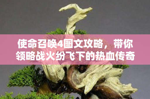 带你领略战火纷飞下的热血传奇与别样玩法图片