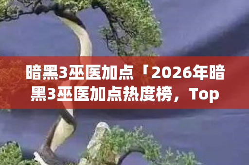 2026年暗黑3巫医加点热度榜图片