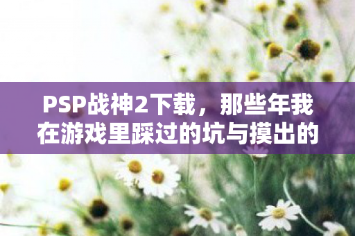 那些年我在游戏里踩过的坑与摸出的野路子图片