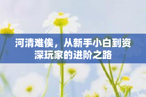 从新手小白到资深玩家的进阶之路图片