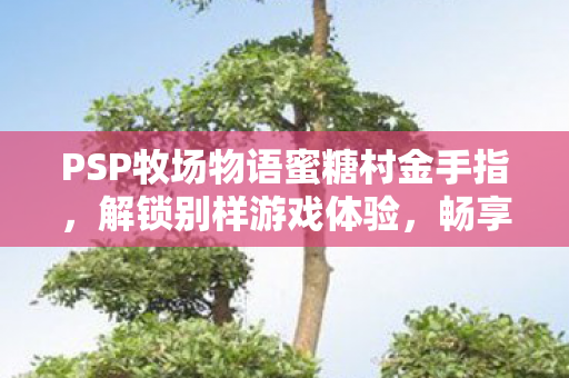 PSP牧场物语蜜糖村金手指图片
